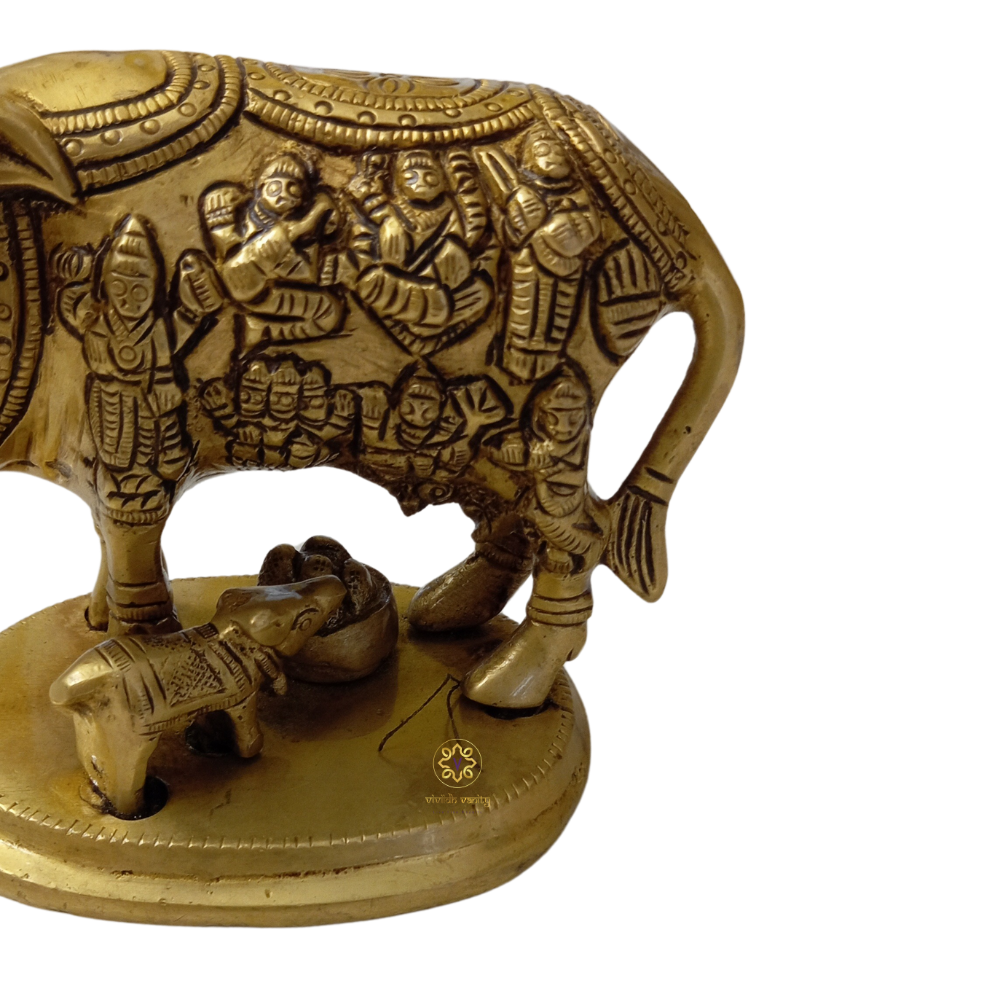 Brahmand  Kamdhenu Box