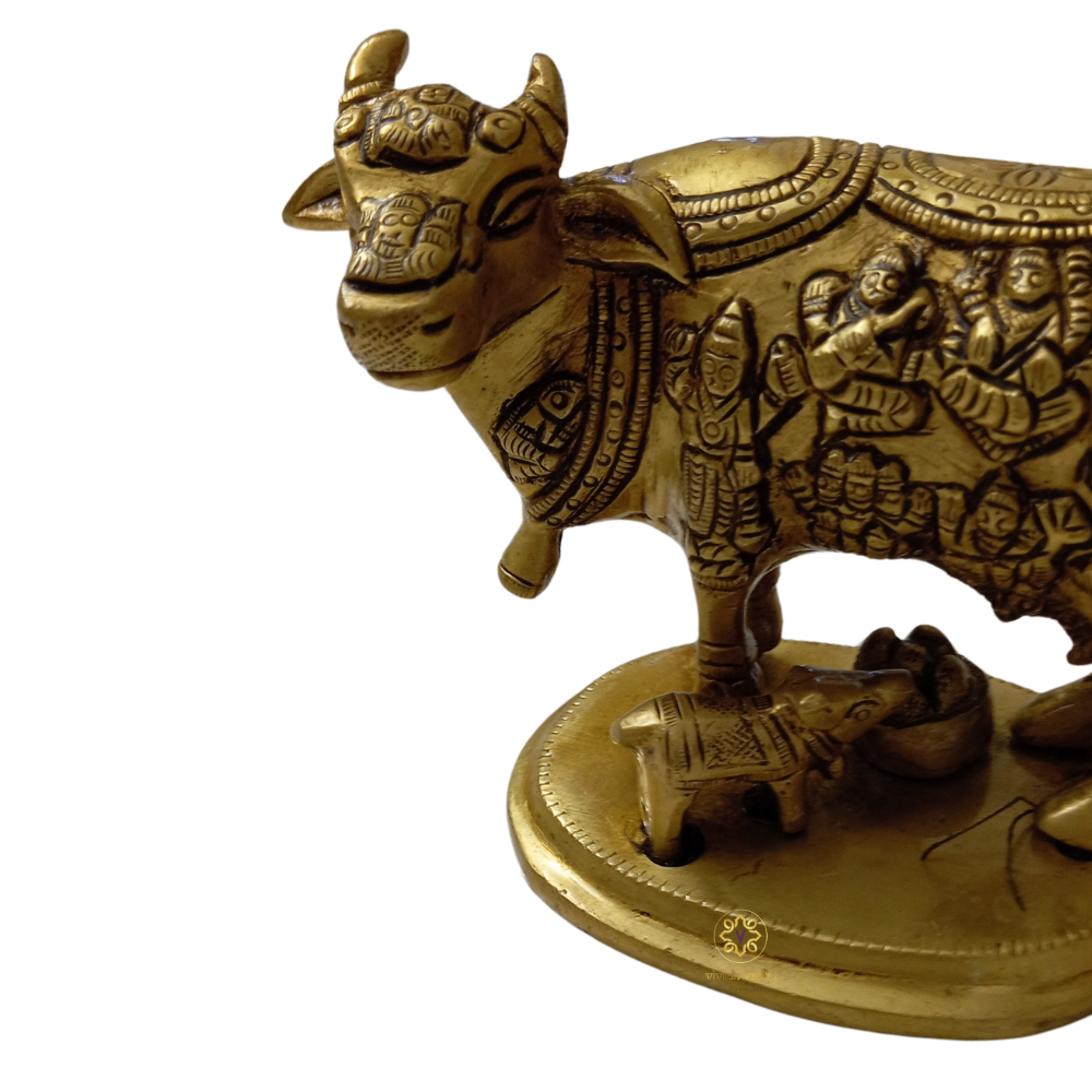Brahmand  Kamdhenu Box